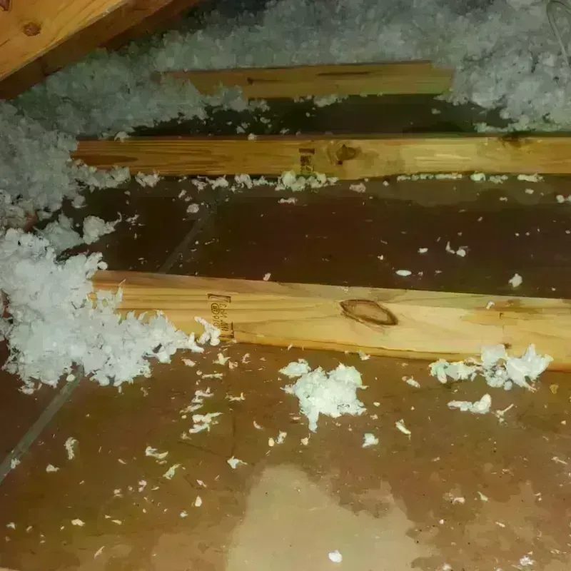 Attic Water Damage in Ellington, CT